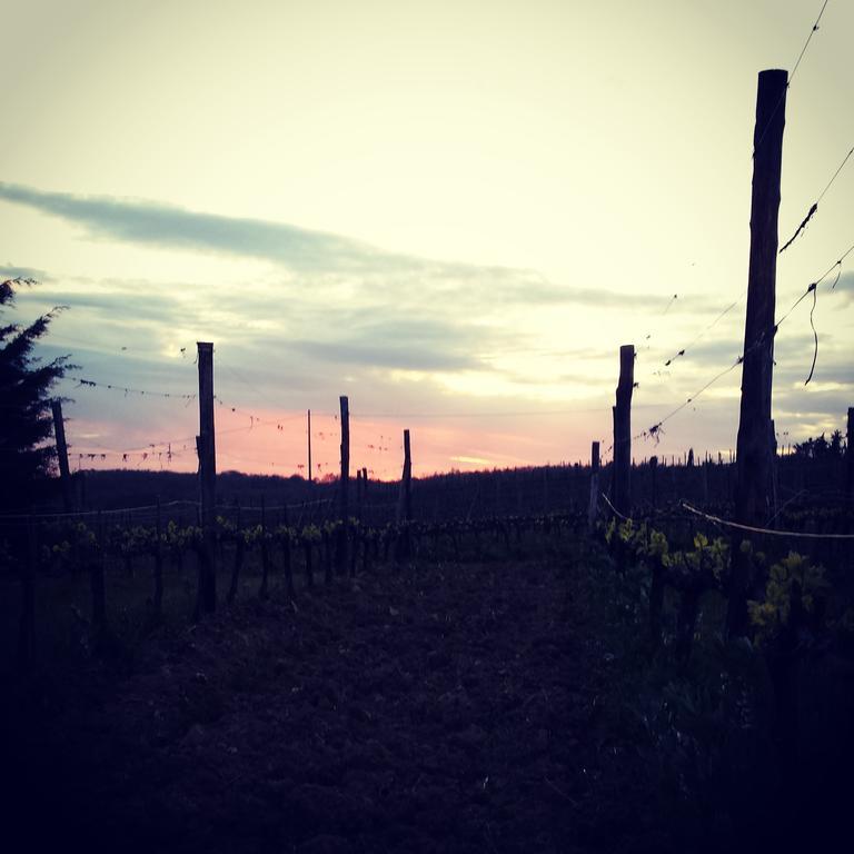Alloggio per agriturismo Il Cocco