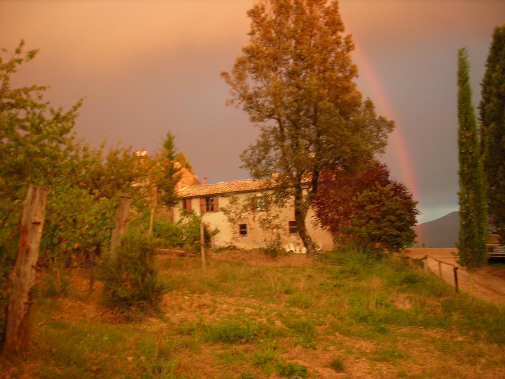 Alloggio per agriturismo Il Cocco *