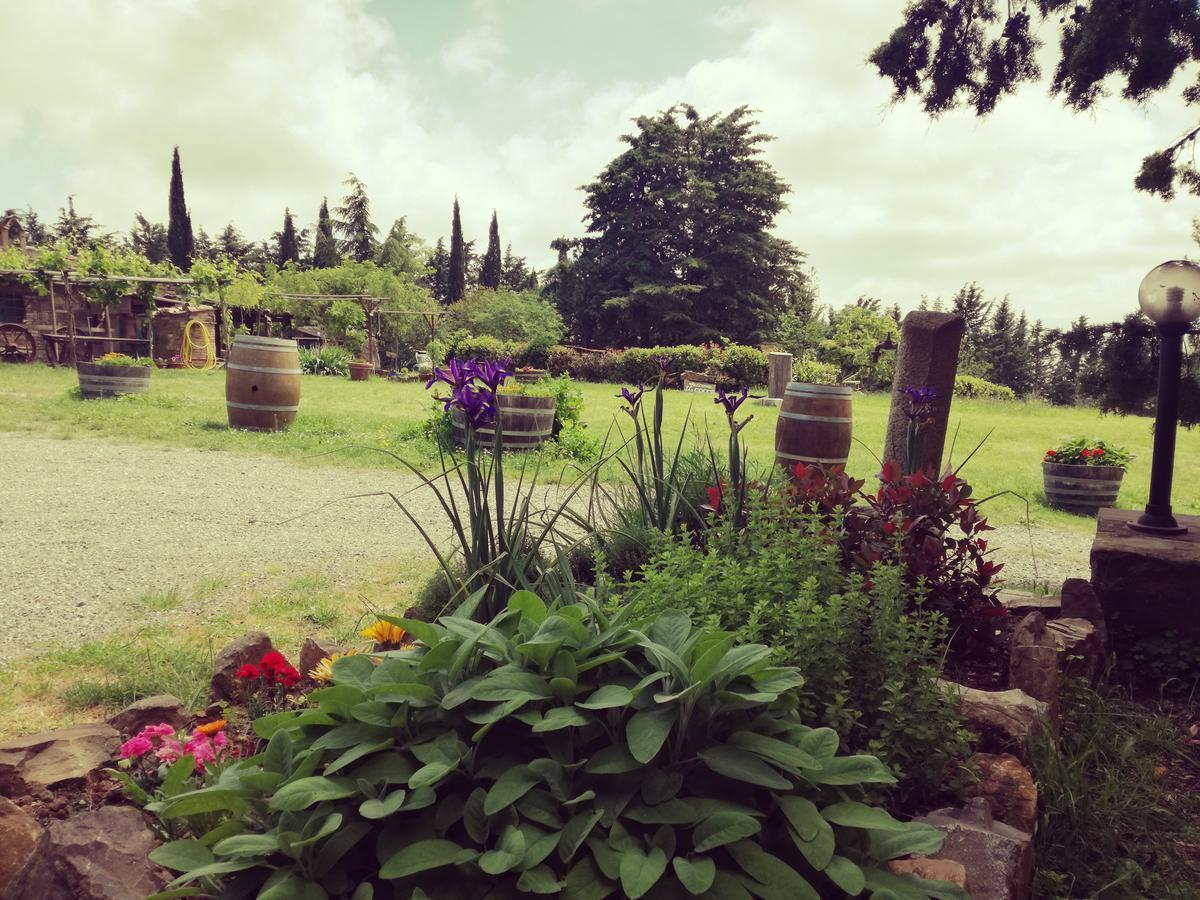 Agroturismo Il Cocco